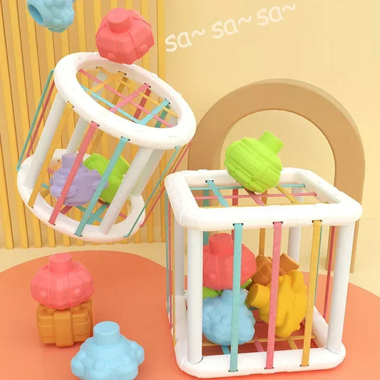 Colorful Montessori Sensory Blocks for Infants 0-12 Months