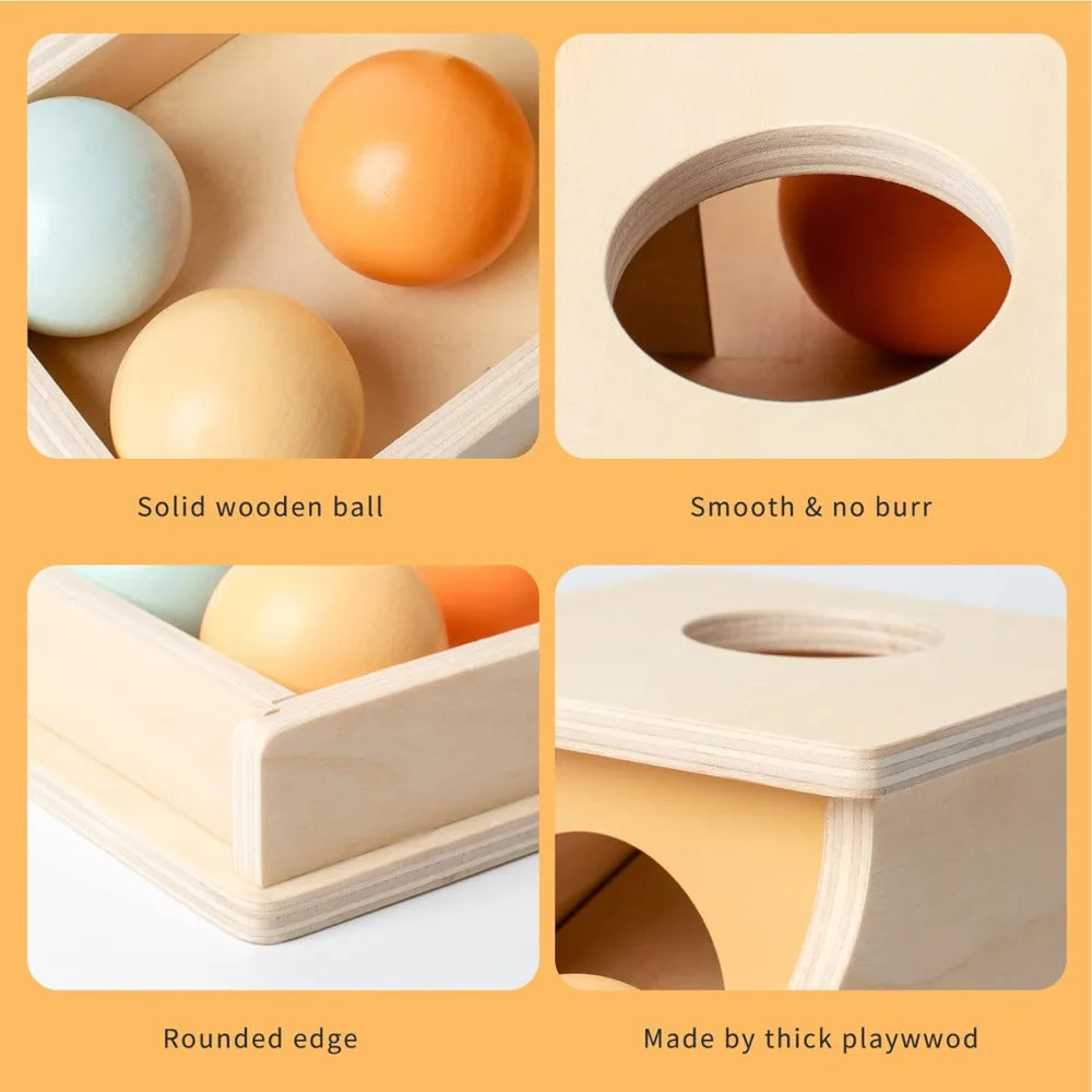 Montessori Wooden Sensory Toy for Infants - Color and Shape Match