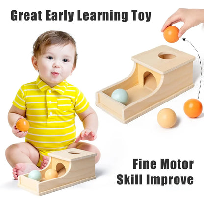 Montessori Wooden Sensory Toy for Infants - Color and Shape Match