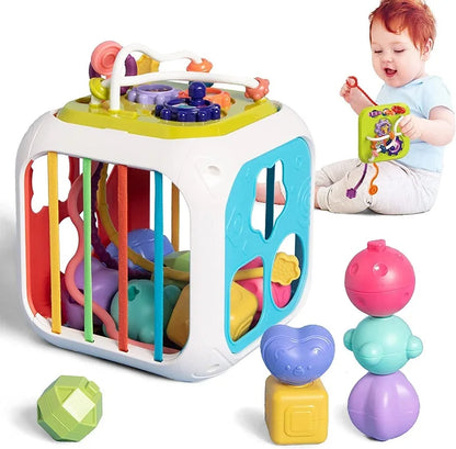 Montessori Shape Sorter Toy for Babies 0-3 Years