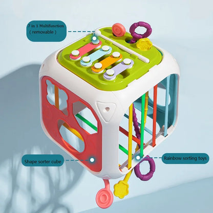 Montessori Shape Sorter Toy for Babies 0-3 Years