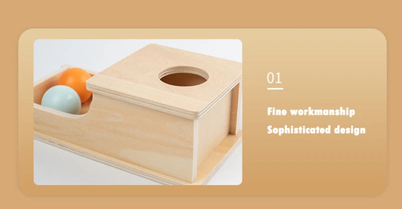 Montessori Wooden Sensory Toy for Infants - Color and Shape Match