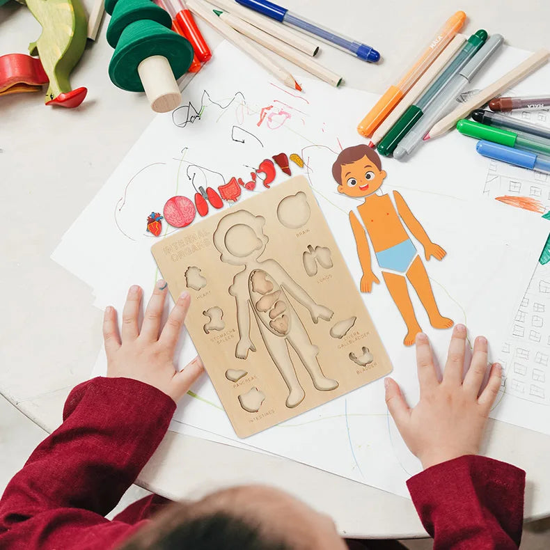 Montessori Human Body Puzzle Board for Kids Learning