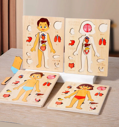 Montessori Human Body Puzzle Board for Kids Learning