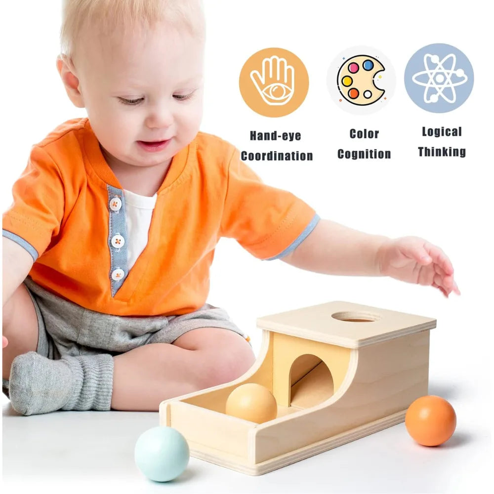 Montessori Wooden Sensory Toy for Infants - Color and Shape Match