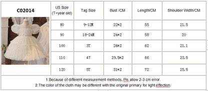 Floral Embroidery Lace Baby Dress for Girls 0-5T