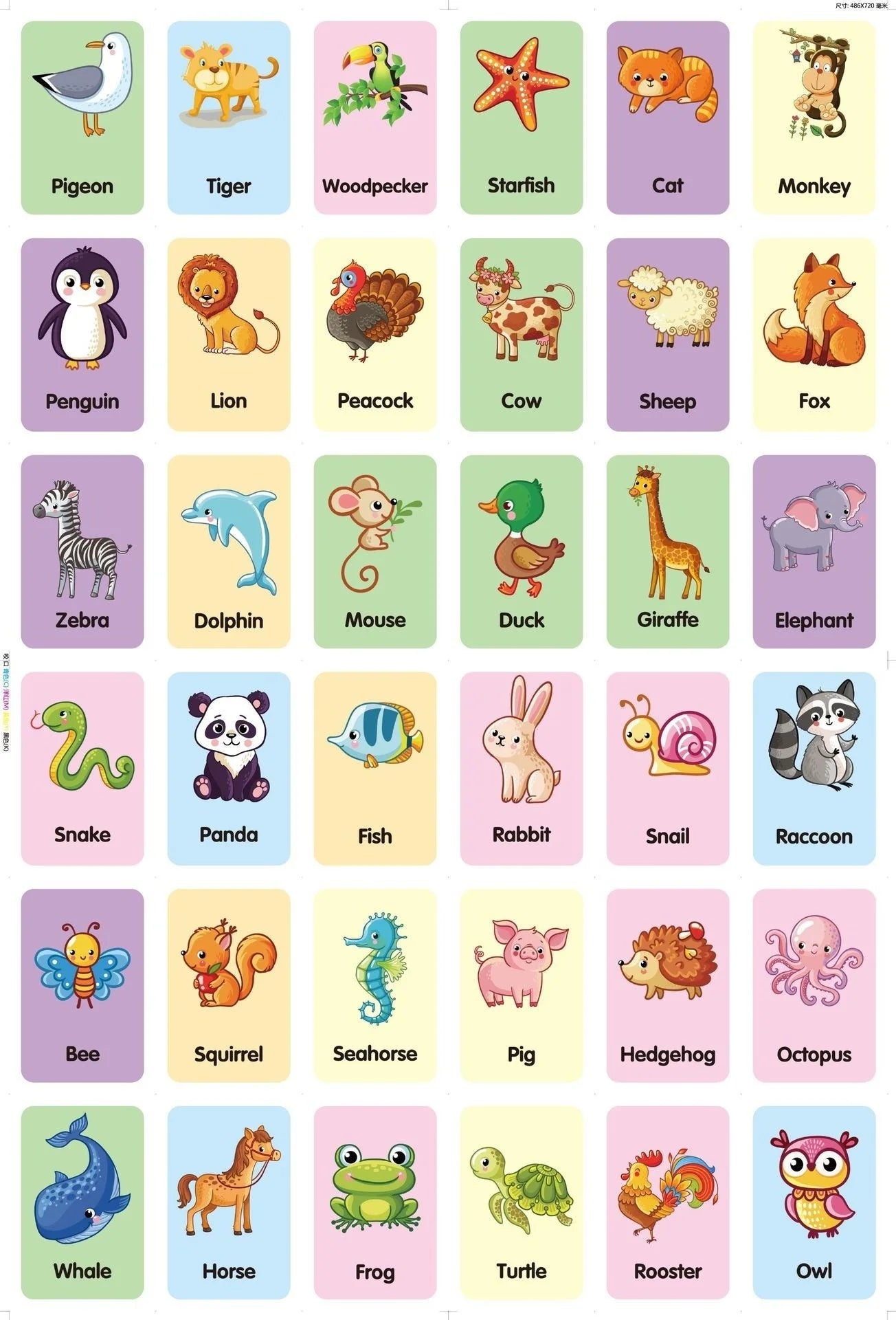36 Pcs Animal Shape & Color Learning Cards for Kids