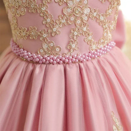 Toddler Girls Floral Embroidery Dress for Special Occasions