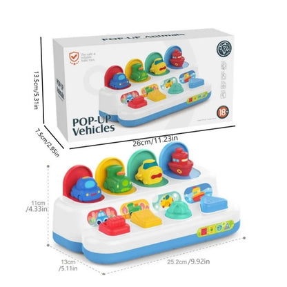 Montessori Cause and Effect Sensory Toy for Babies