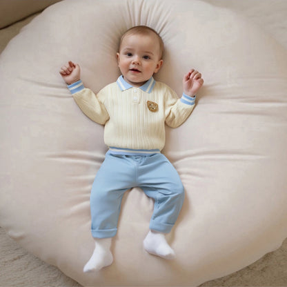 Baby Boy's Bear Embroidered Sweatshirt and Pants Set