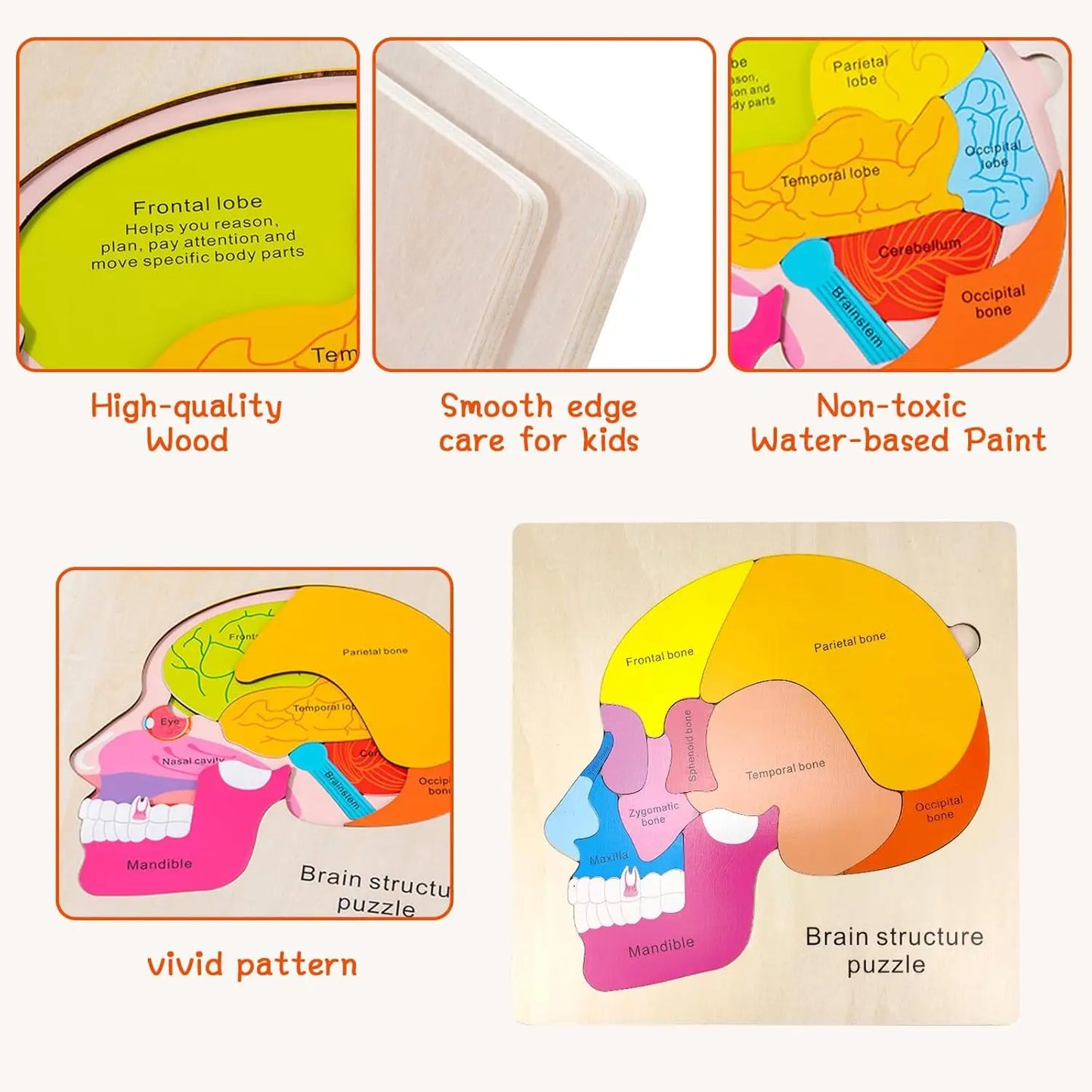 Montessori Human Body Puzzle Board for Kids Learning