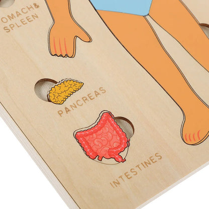 Montessori Human Body Puzzle Board for Kids Learning