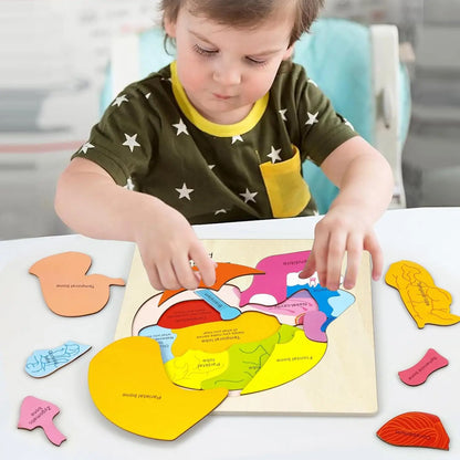 Montessori Human Body Puzzle Board for Kids Learning