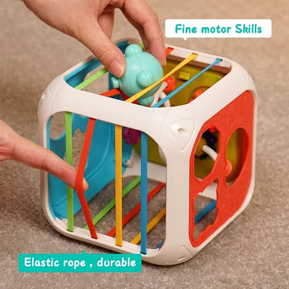 Montessori Shape Sorter Toy for Babies 0-3 Years