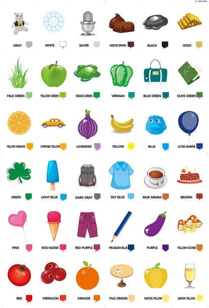 36 Pcs Animal Shape & Color Learning Cards for Kids