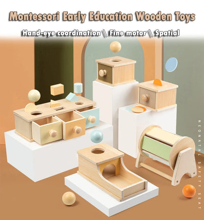 Montessori Wooden Sensory Toy for Infants - Color and Shape Match