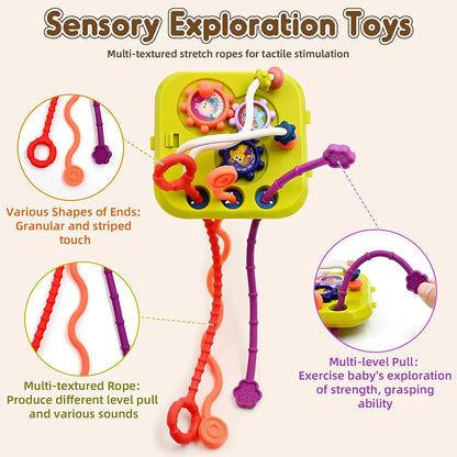 Montessori Shape Sorter Toy for Babies 0-3 Years
