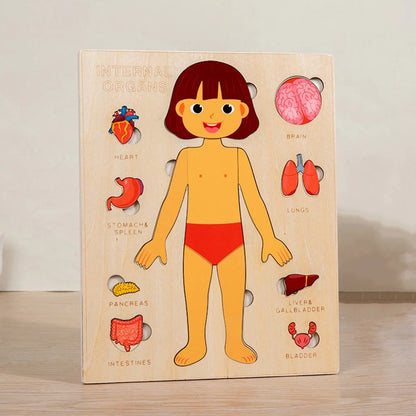 Montessori Human Anatomy Jigsaw Puzzle for Kids Educational Toy