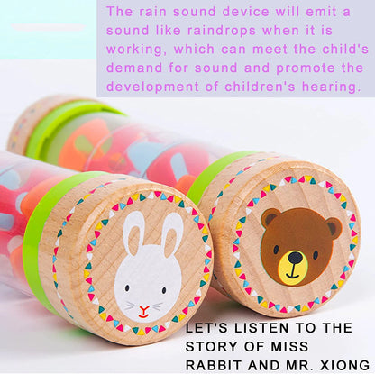 Montessori Rain Stick Rattle for Sensory Play and Music