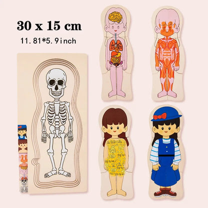 Wooden Human Body Puzzle for Kids - Educational Learning Toy