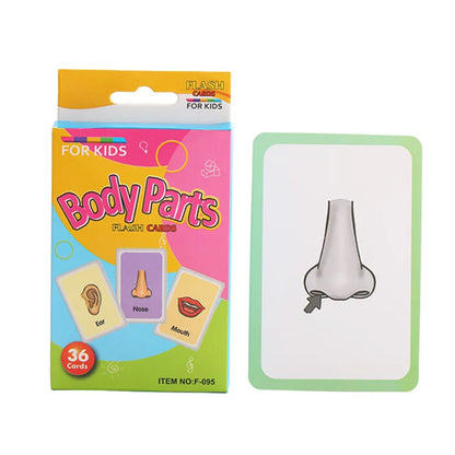 36 Pcs Animal Shape & Color Learning Cards for Kids