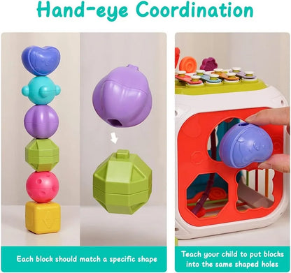 Montessori Shape Sorter Toy for Babies 0-3 Years