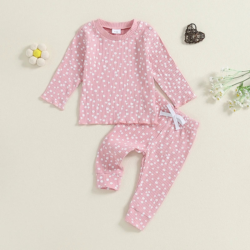 Toddler Girl Floral Print Long Sleeve Top & Pants Set
