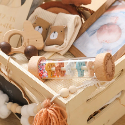 Montessori Rain Stick Rattle - Sensory Toy for Babies
