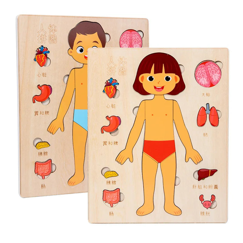 Montessori Human Body Puzzle Board for Kids Learning