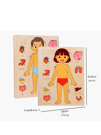 Montessori Human Anatomy Jigsaw Puzzle for Kids Educational Toy