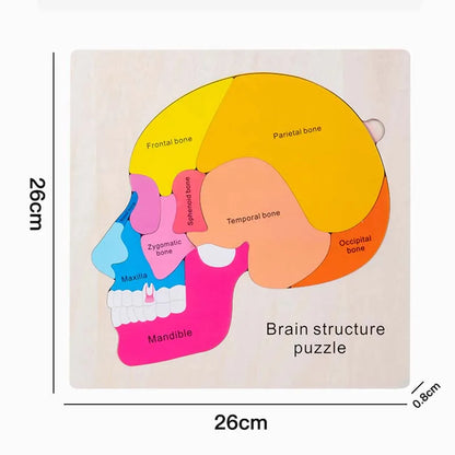 Montessori Human Body Puzzle Board for Kids Learning