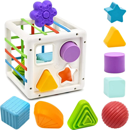 Montessori Shape Sorter Toy for Babies 0-3 Years