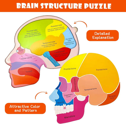 Montessori Human Body Puzzle Board for Kids Learning