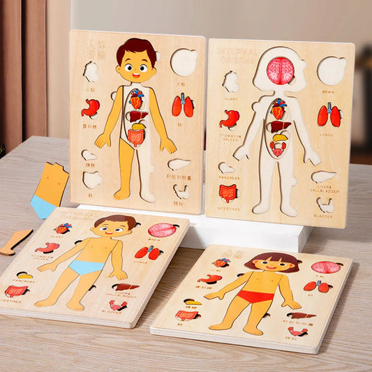 Montessori Human Anatomy Jigsaw Puzzle for Kids Educational Toy