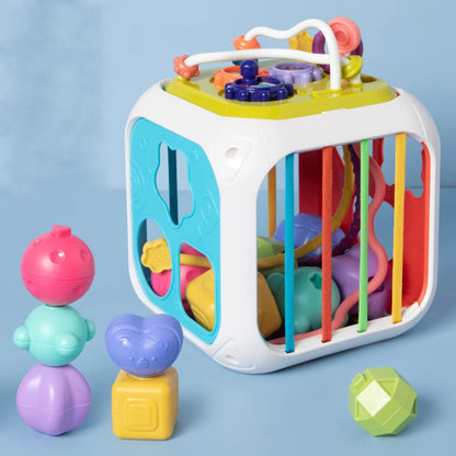 Montessori Shape Sorter Toy for Babies 0-3 Years