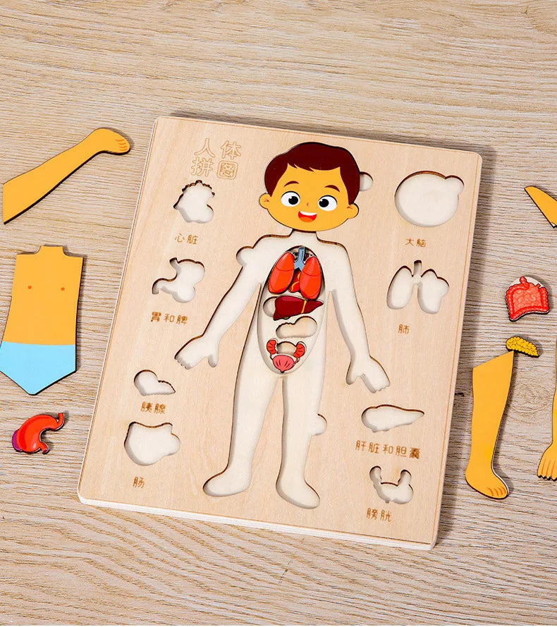 Montessori Human Body Puzzle Board for Kids Learning