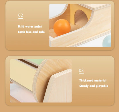 Montessori Wooden Sensory Toy for Infants - Color and Shape Match