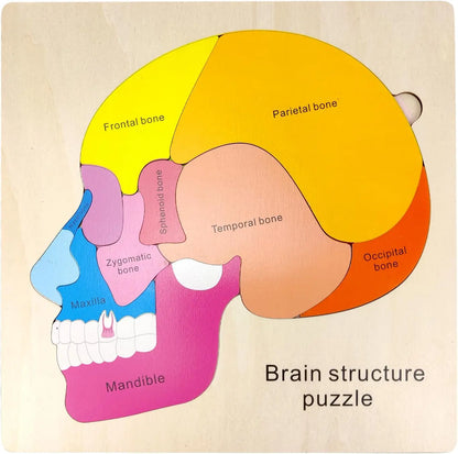 Montessori Human Body Puzzle Board for Kids Learning