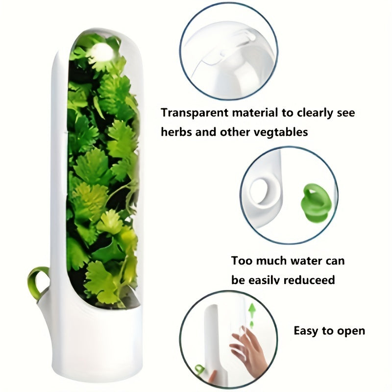 Vegetable Saver Container for Coriander and Asparagus
